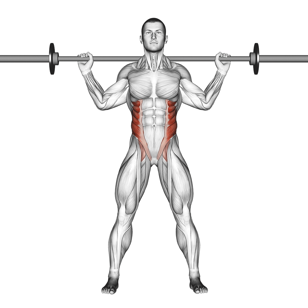 Barbell Standing Twist demonstration