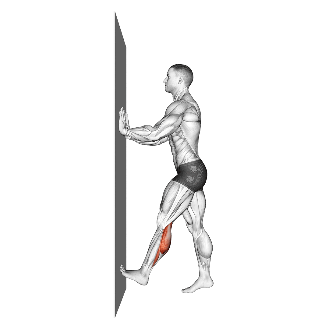 Calf Push Stretch With Hands Against Wall demonstration