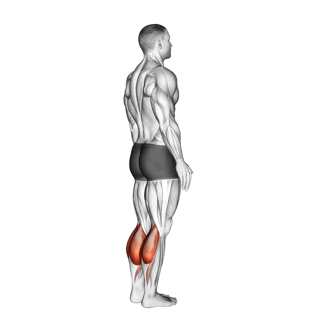 Bodyweight Standing Calf Raise demonstration