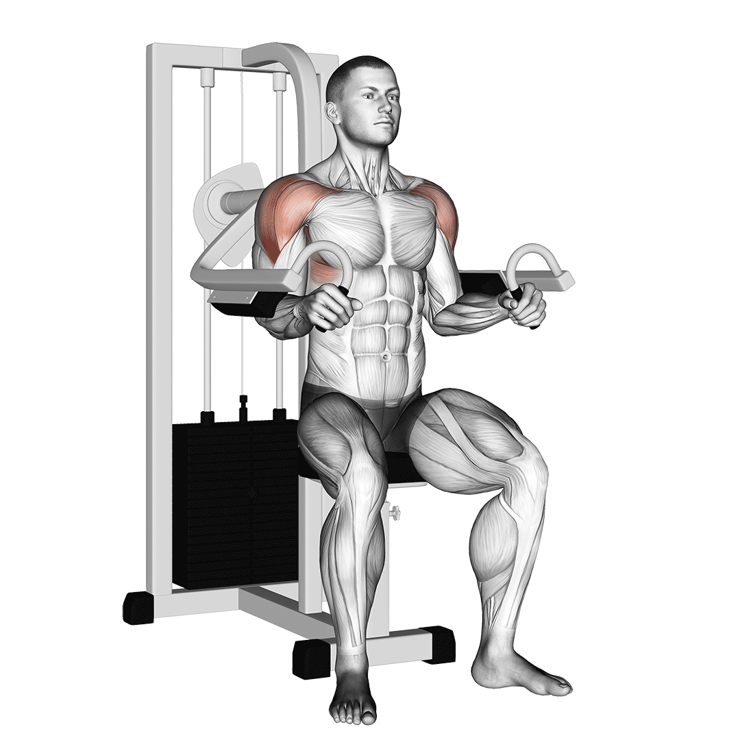 Machine Lateral Raise demonstration