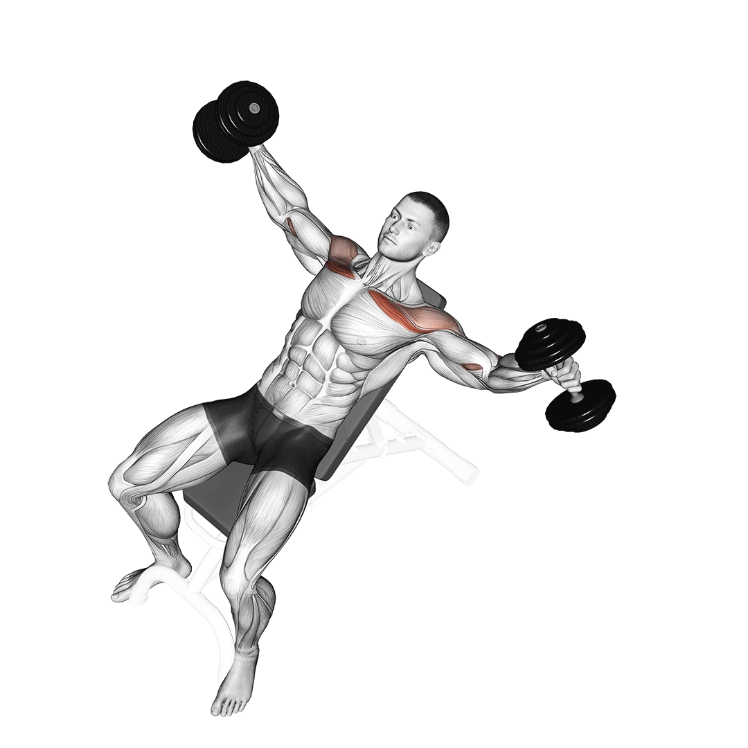 Dumbbell Incline Fly (Variation) demonstration