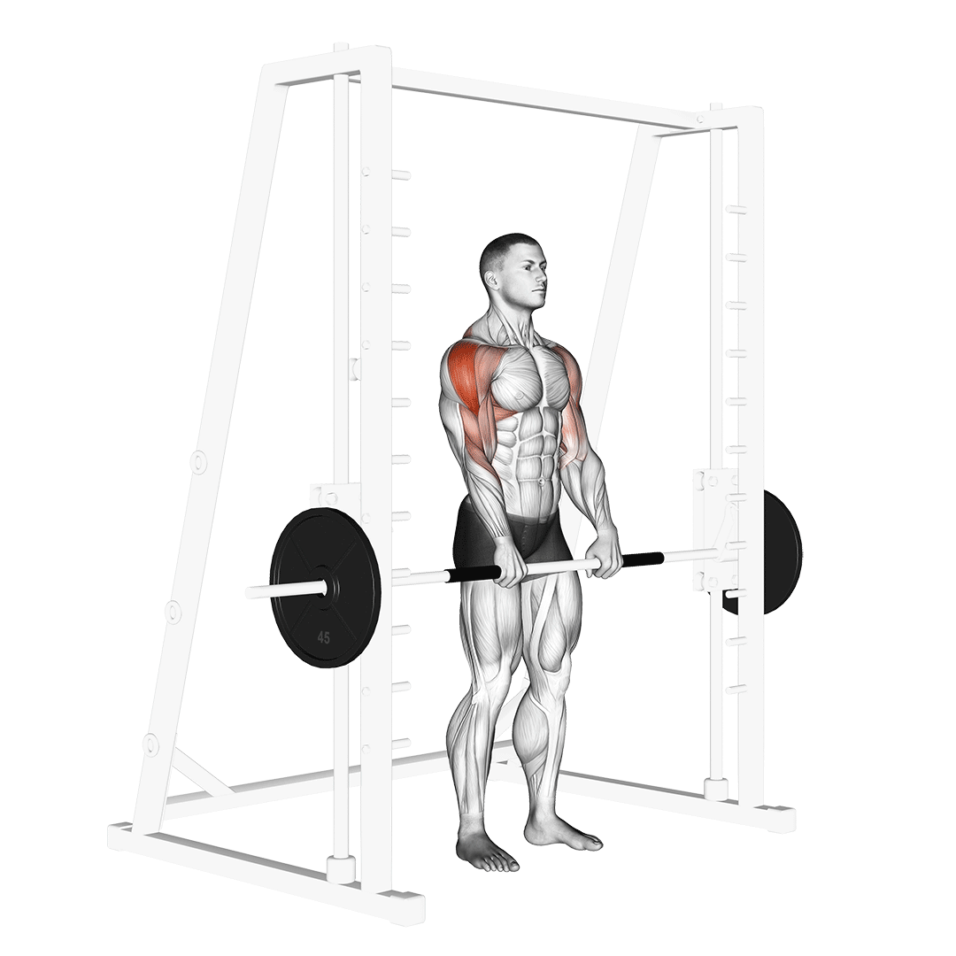 Smith Upright Row demonstration