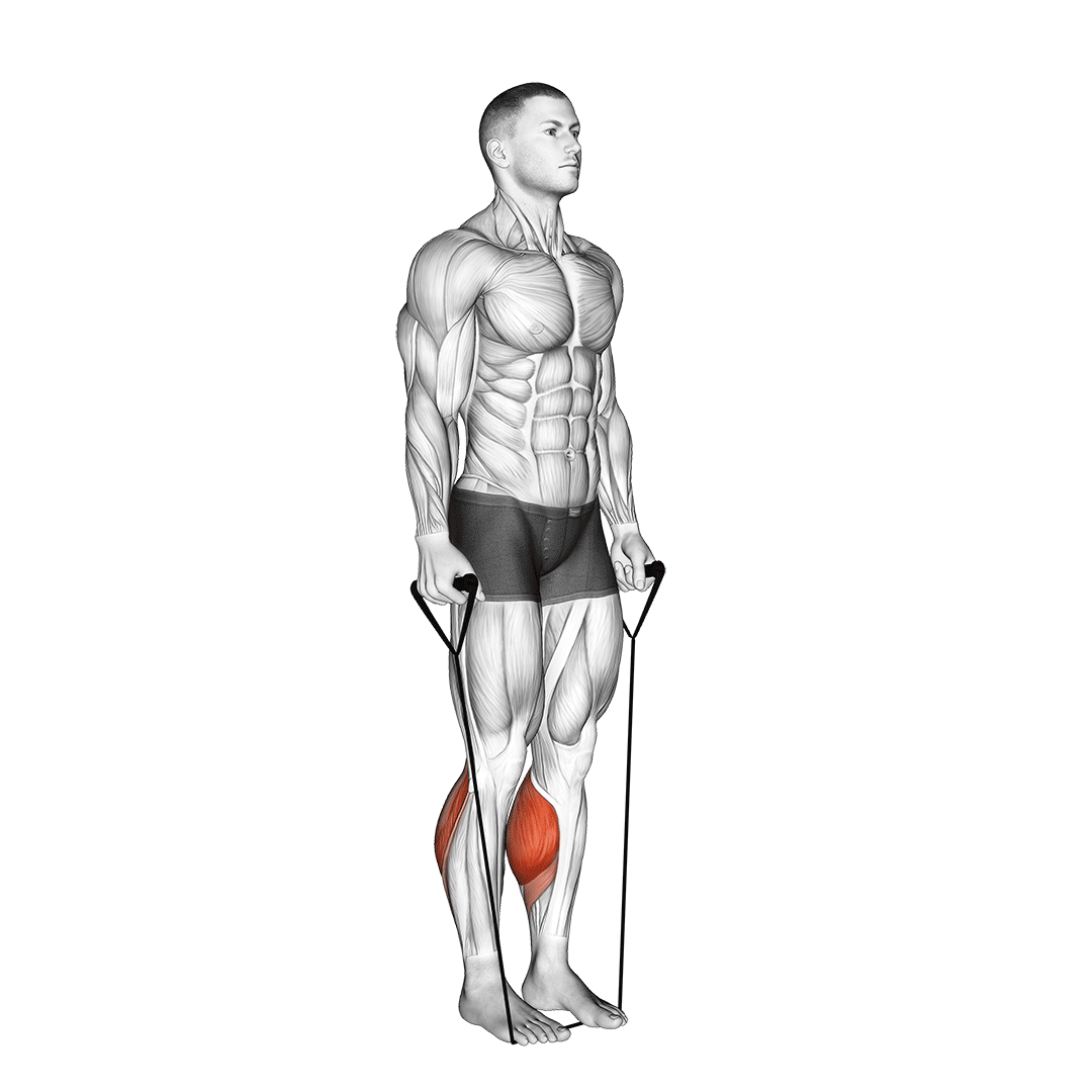 Band Two Legs Calf Raise - (Band Under Both Legs) demonstration