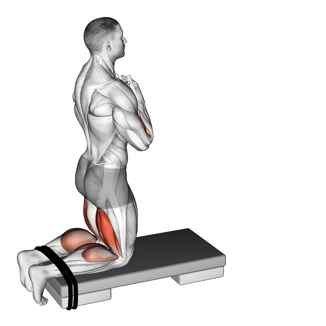 Self Assisted Inverse Leg Curl demonstration