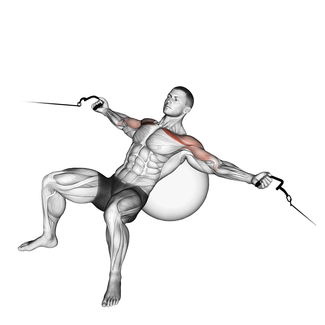 Cable Incline Fly (On Stability Ball) demonstration