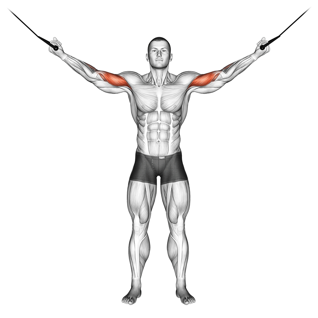 Cable Overhead Curl demonstration