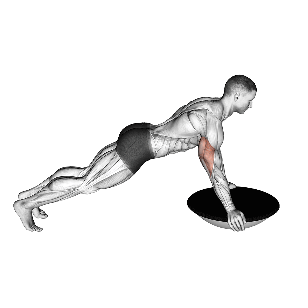 Push-Up (Bosu Ball) demonstration