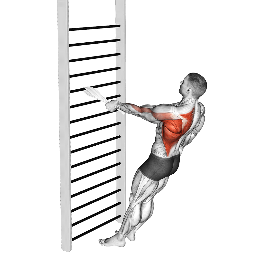 Bodyweight Standing One Arm Row (With Towel) demonstration