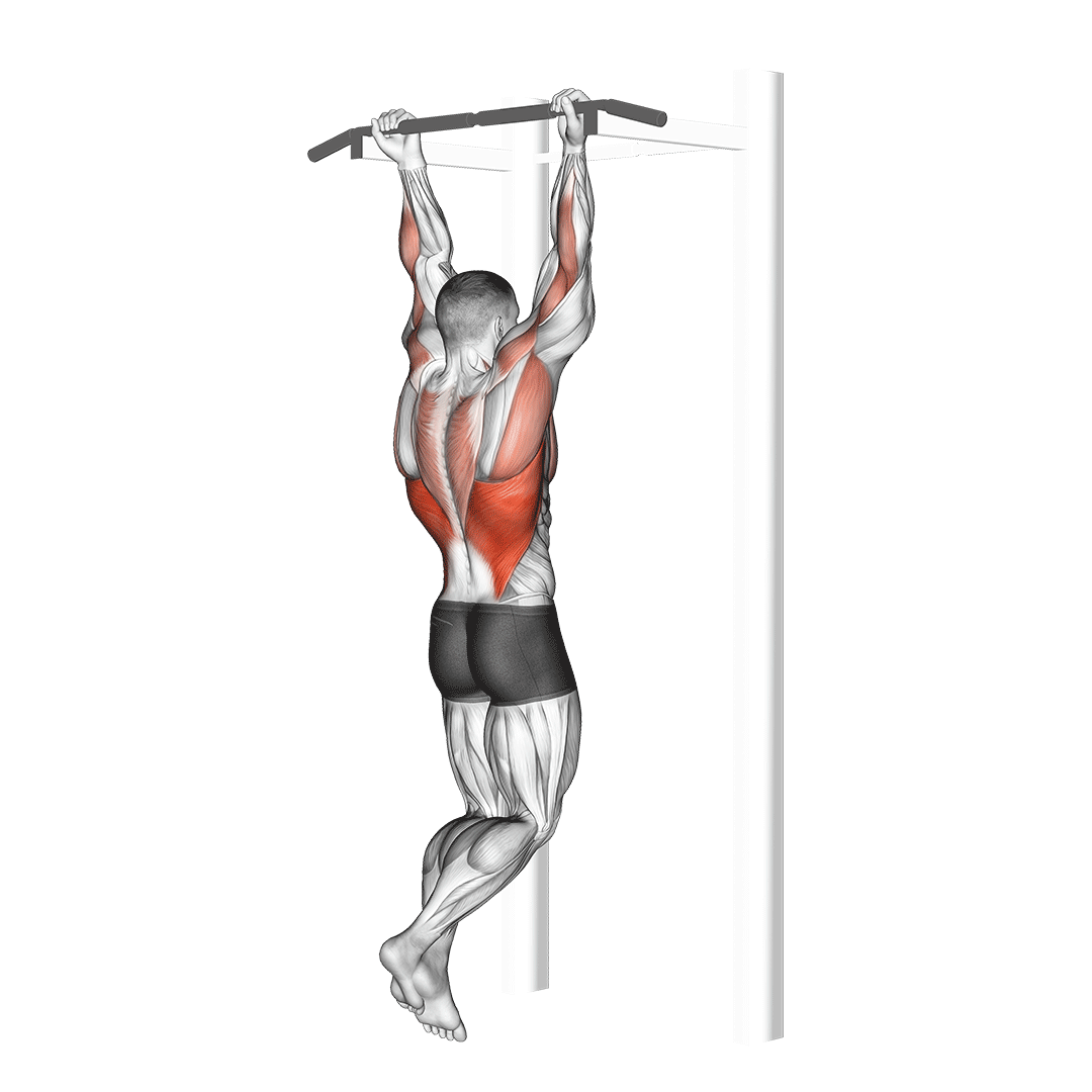 Chin-Up demonstration