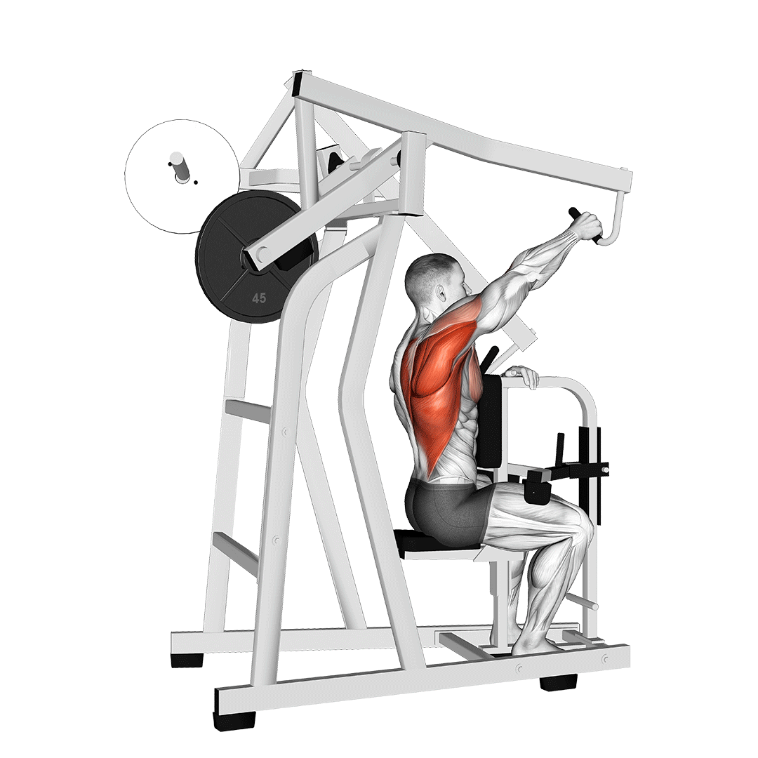 Machine One Arm Lateral High Row demonstration