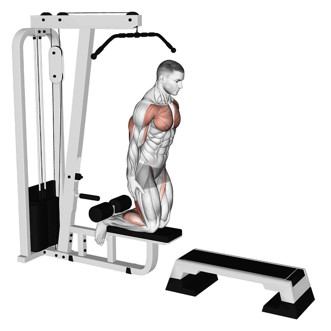 Inverse Leg Curl (On Pull-Up Cable Machine) demonstration