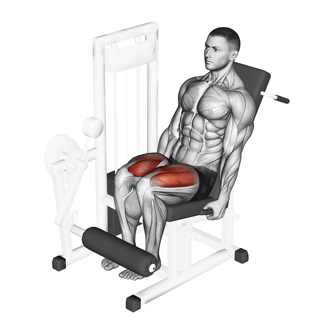 Leg Extension Machine demonstration