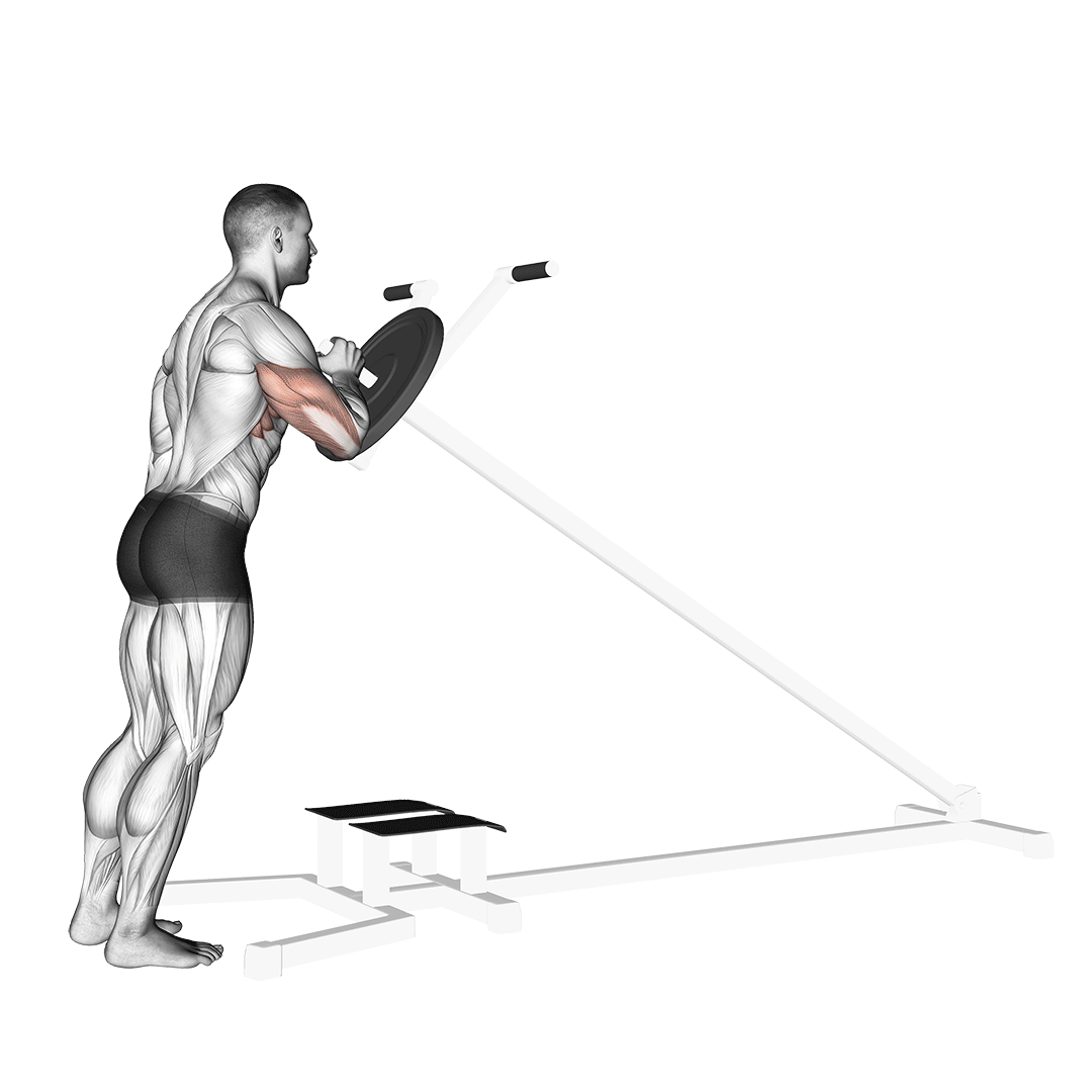 Machine One Arm Shoulder Press demonstration