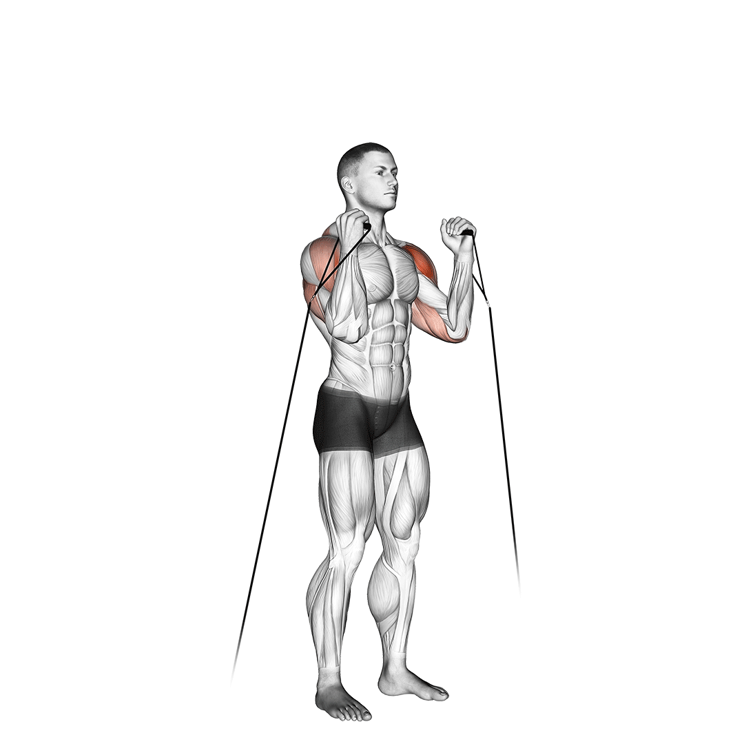 Cable Alternate Shoulder Press demonstration