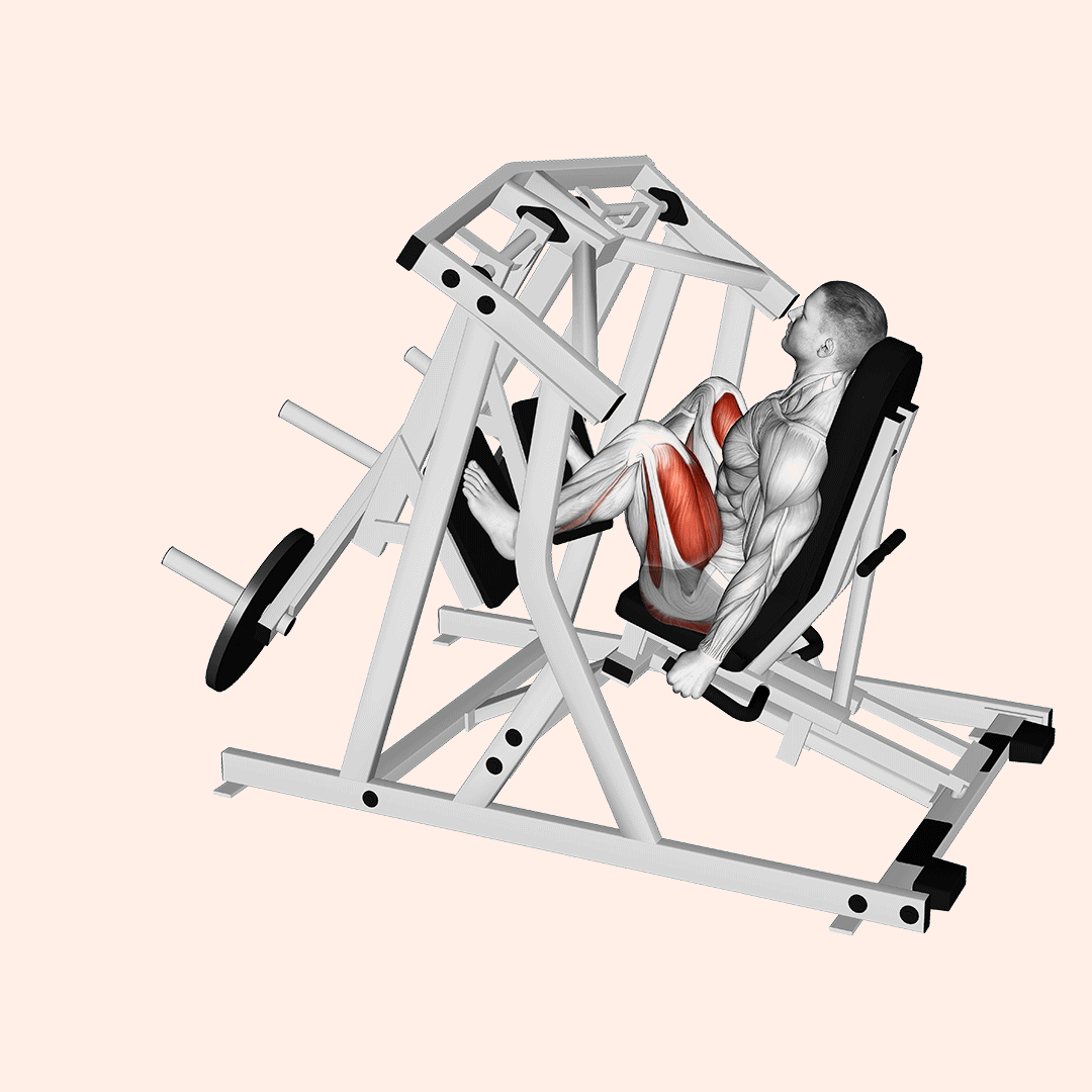 Machine Alternate Leg Press demonstration