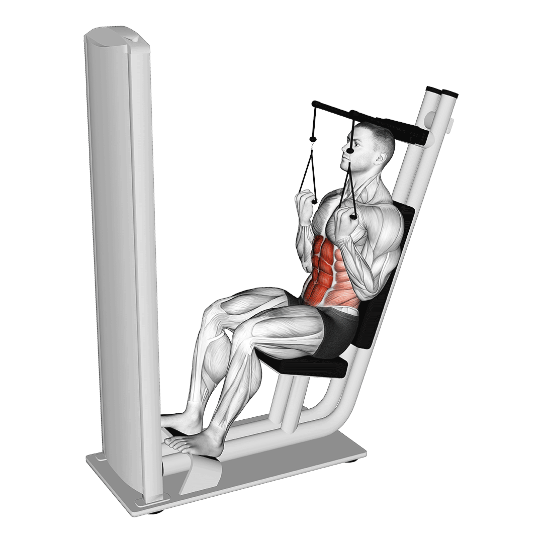 Machine Seated Crunch demonstration