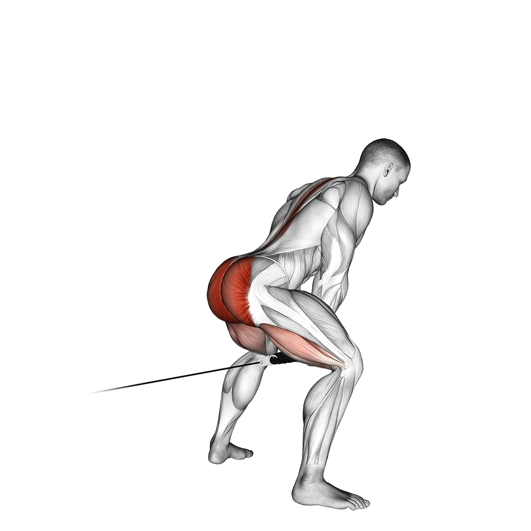 Cable Pull Through (With Rope) demonstration