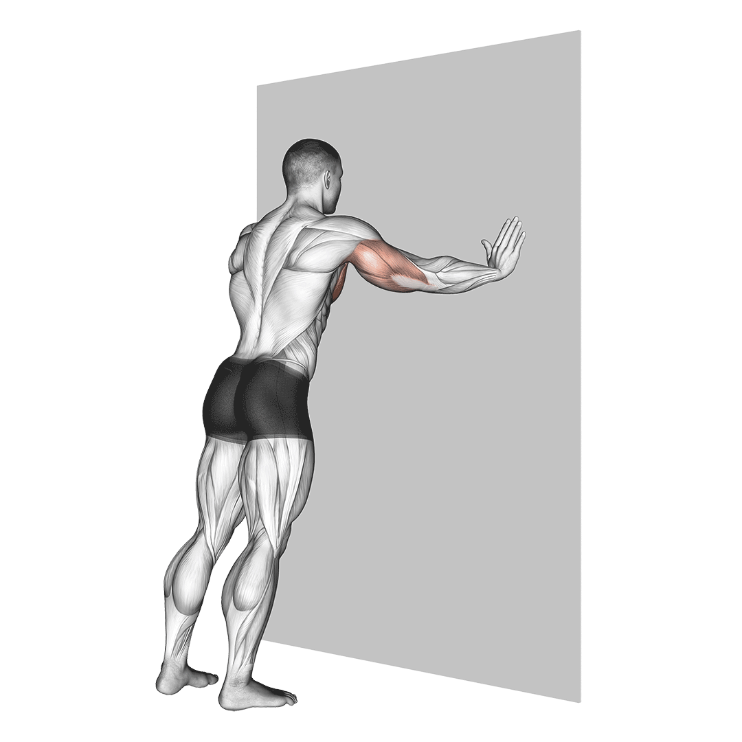 Push-Up (Wall) demonstration