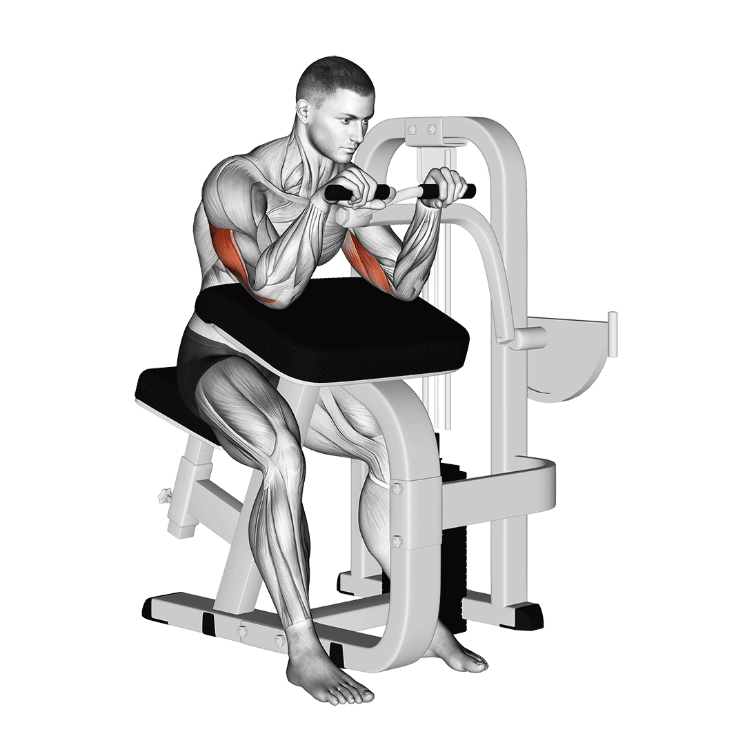 Machine Triceps Extension demonstration