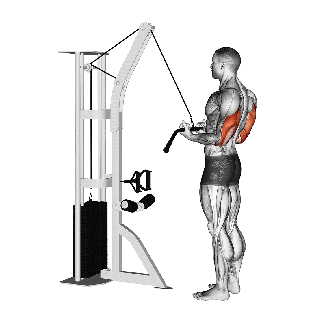 Cable Reverse-Grip Pushdown demonstration