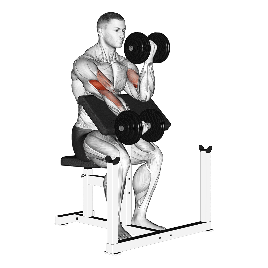 Dumbbell Alternate Preacher Curl demonstration