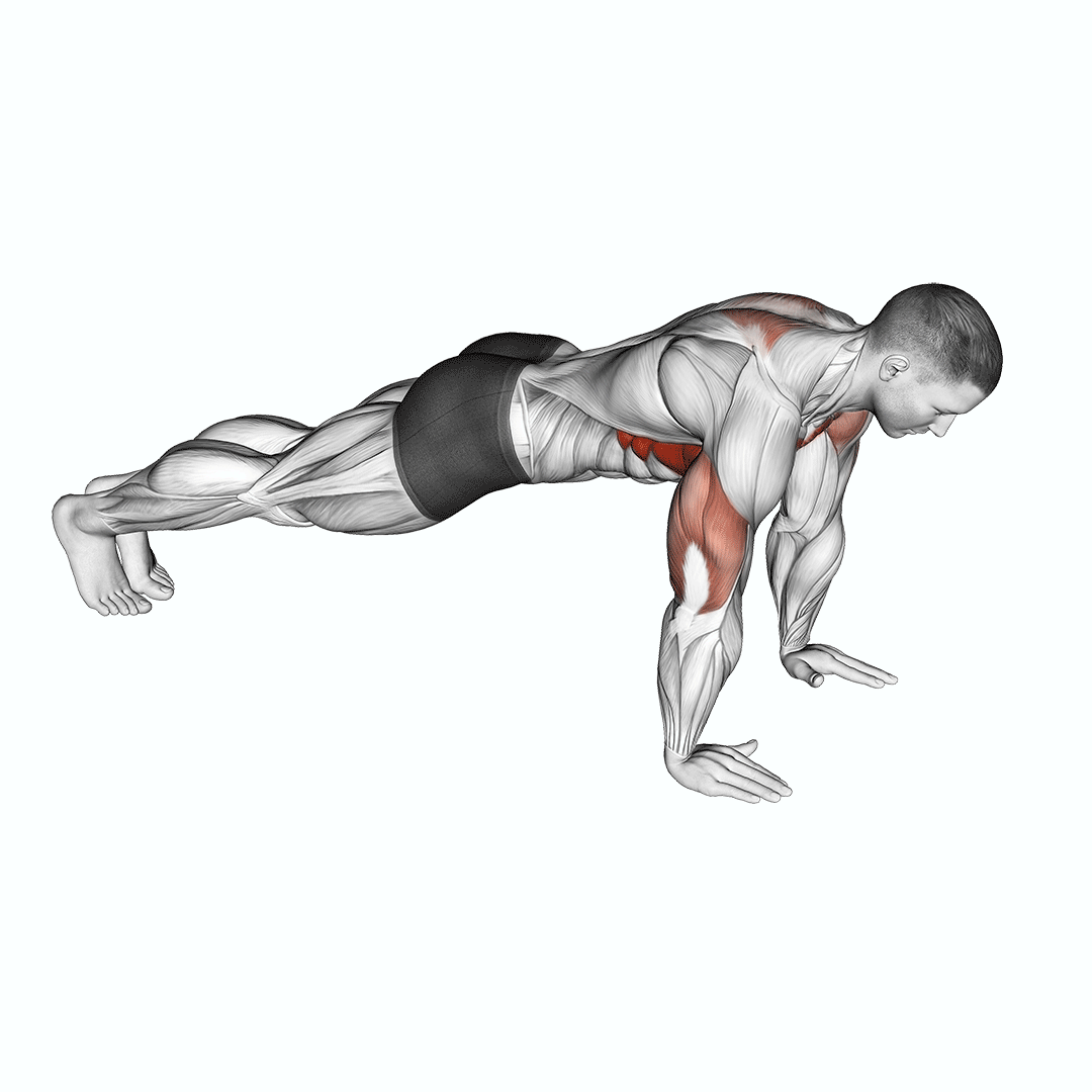 Push-Up Plus demonstration