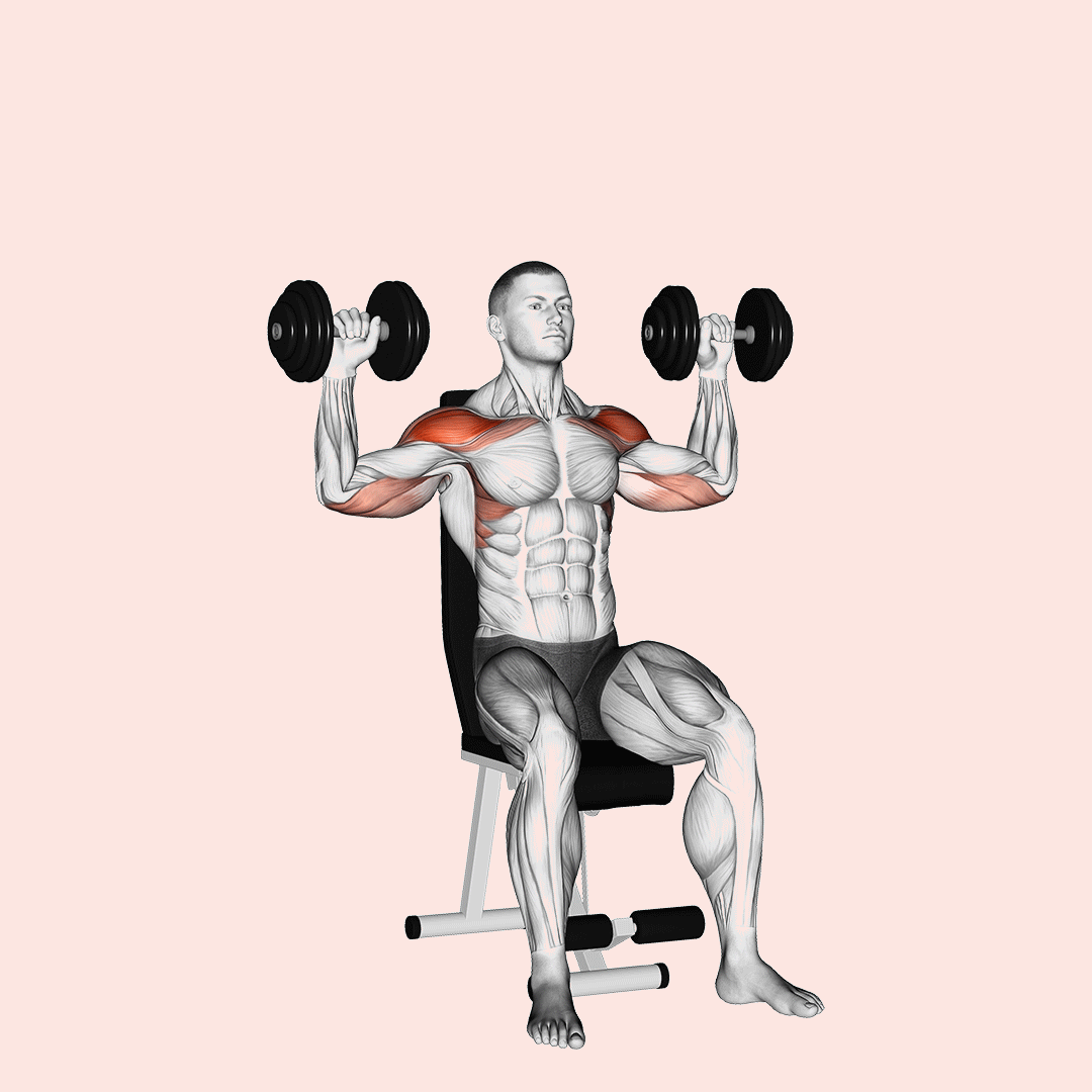 Dumbbell Seated Alternate Shoulder demonstration