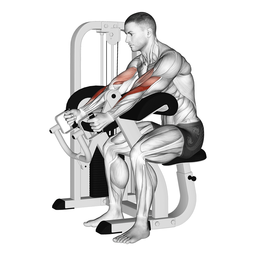 Machine Hammer Grip Preacher Curl demonstration