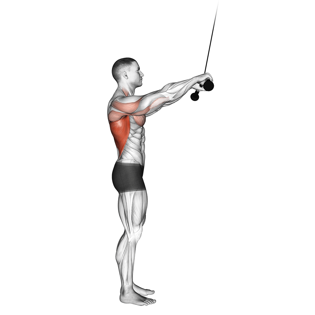 Cable Pushdown (Straight Arm) demonstration