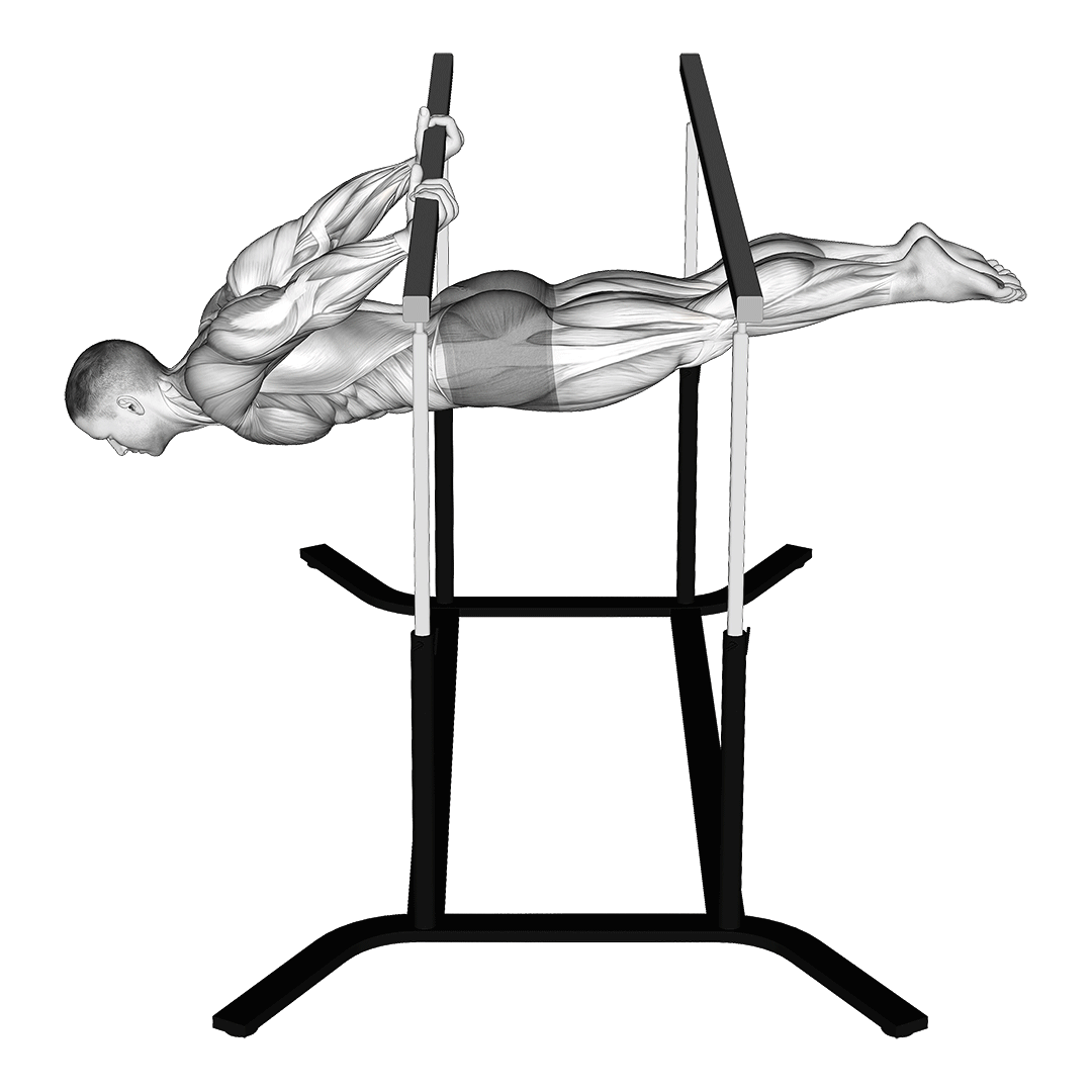 Back Lever demonstration