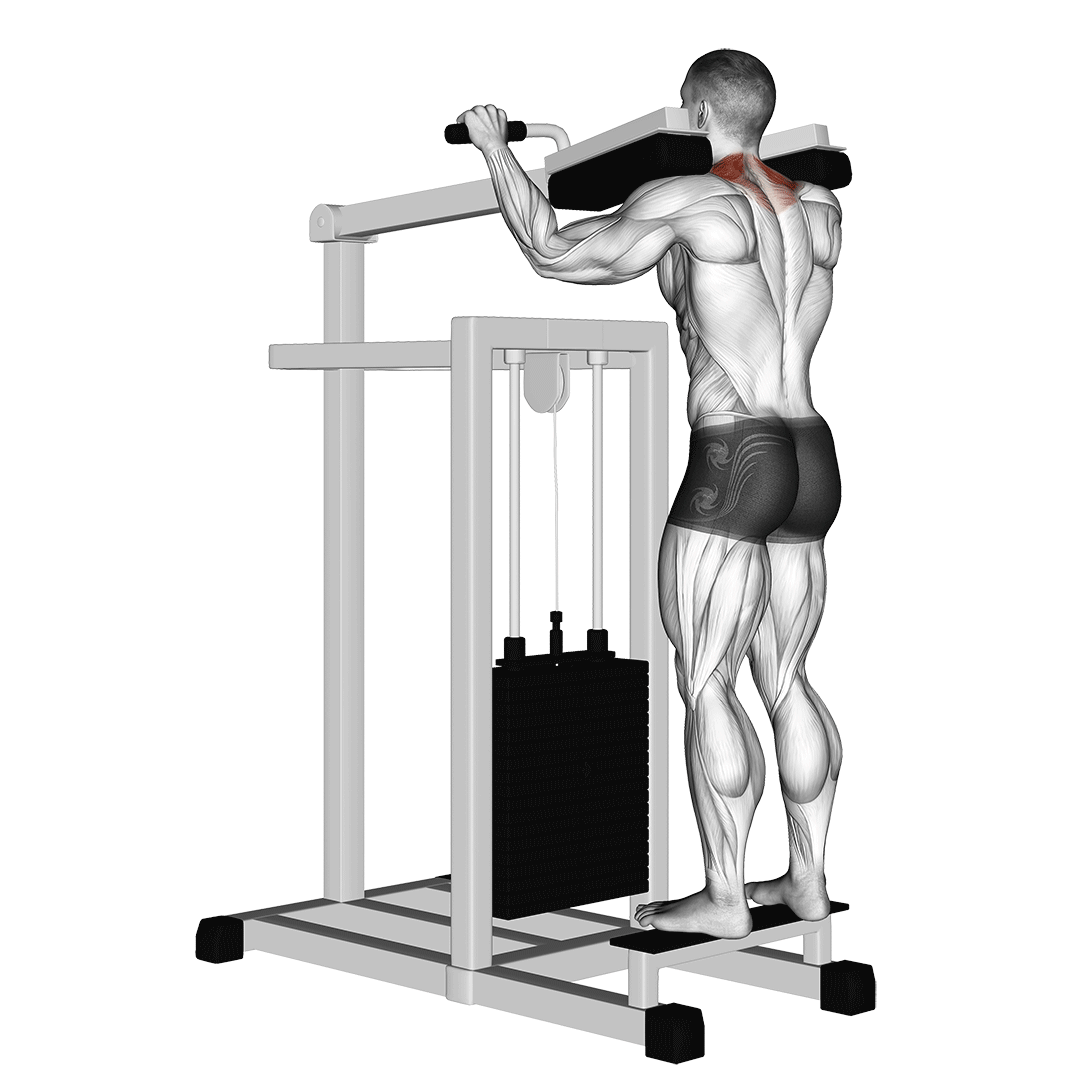 Machine Gripless Shrug demonstration
