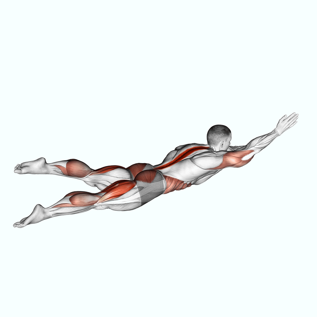 Swimmer Kicks demonstration