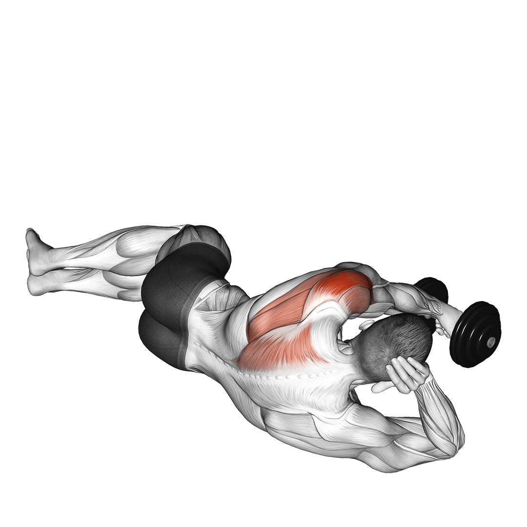 Dumbbell Lying On Floor Rear Delt Raise demonstration