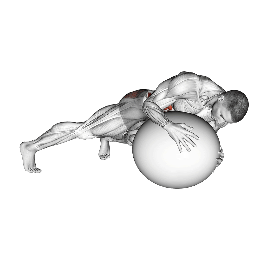 Stability Ball Prone Twist demonstration