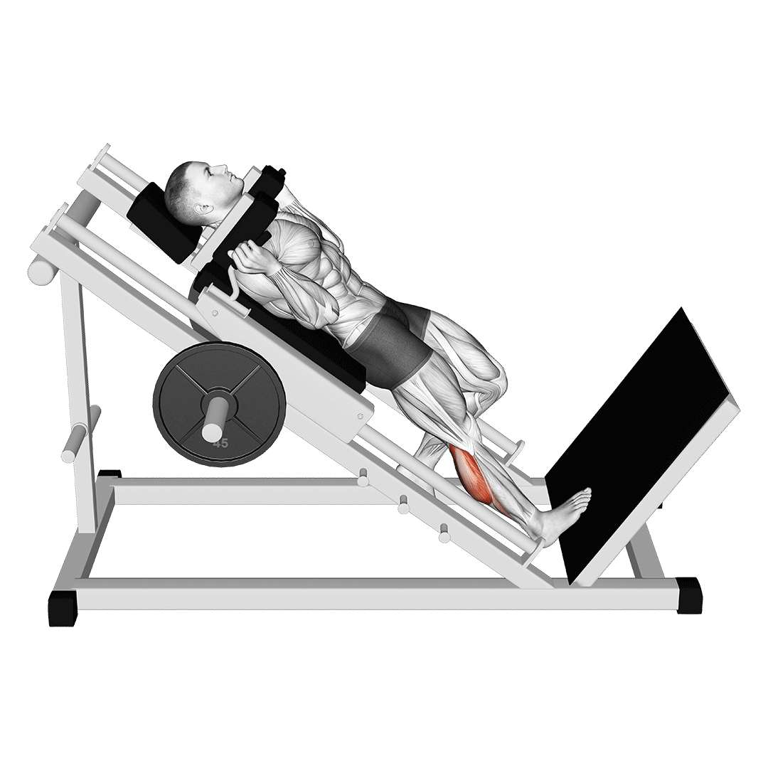 Hack One Leg Calf Raise demonstration