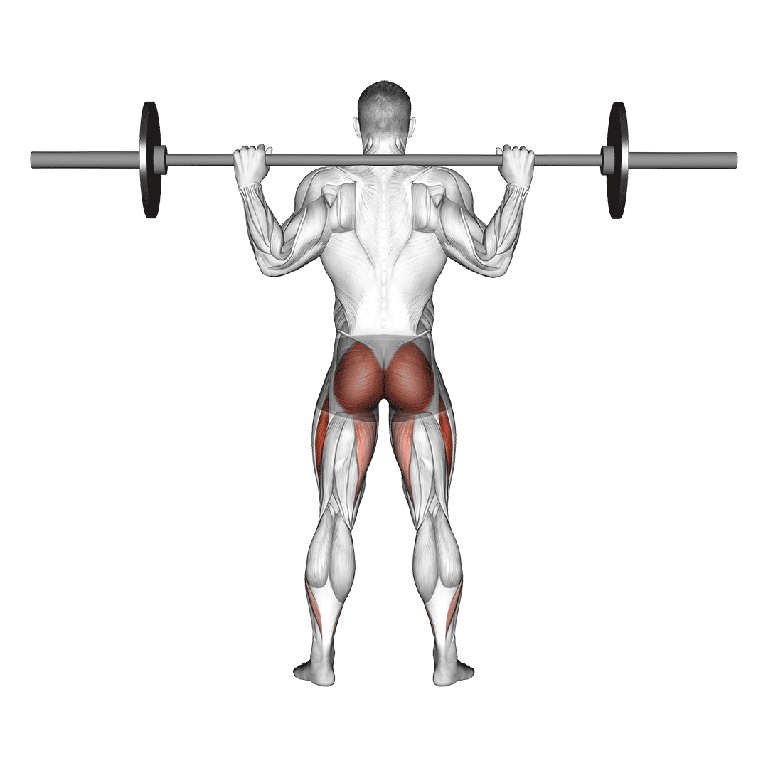Barbell Full Squat (Back Pov) demonstration