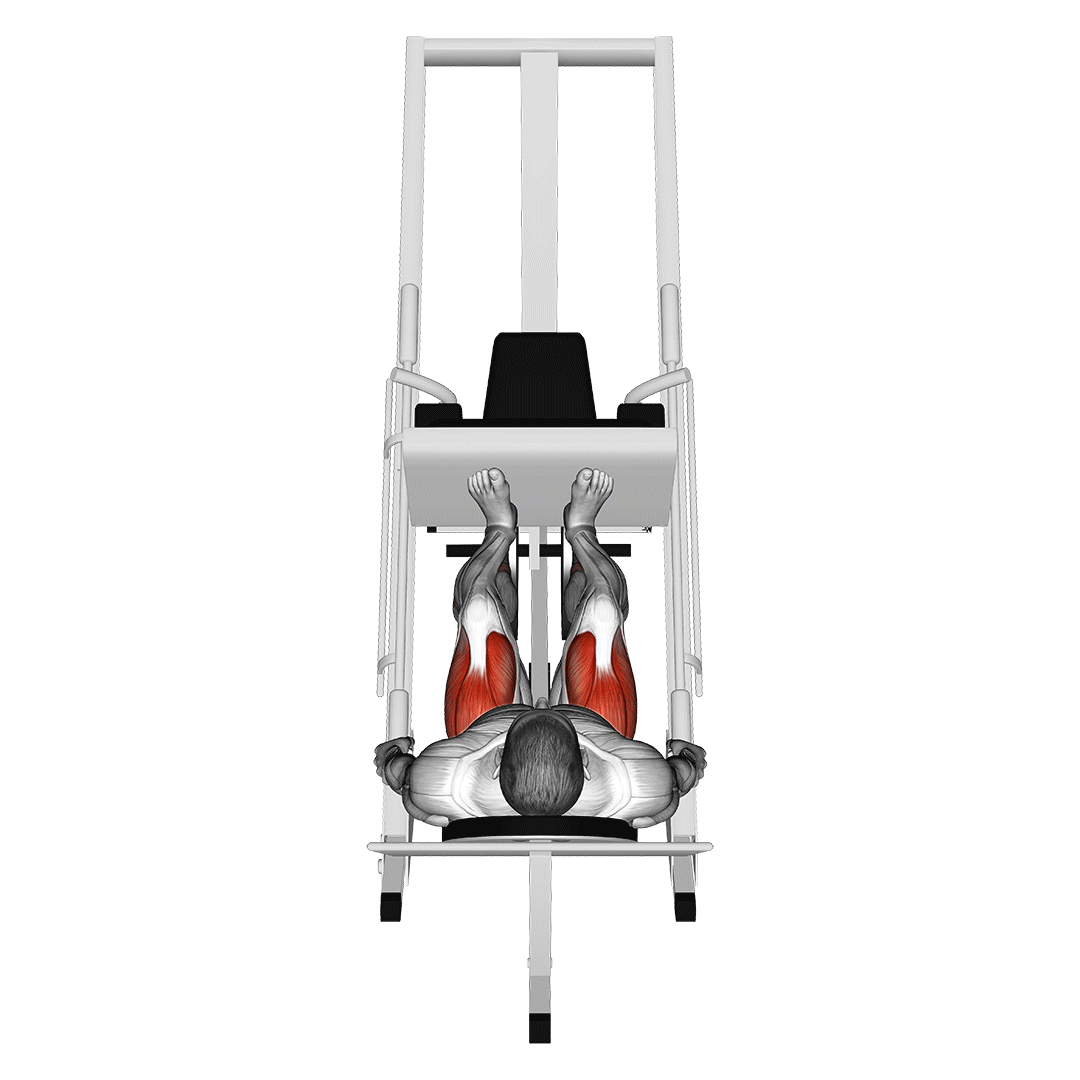 Sled 45° Leg Press (Back Pov) demonstration