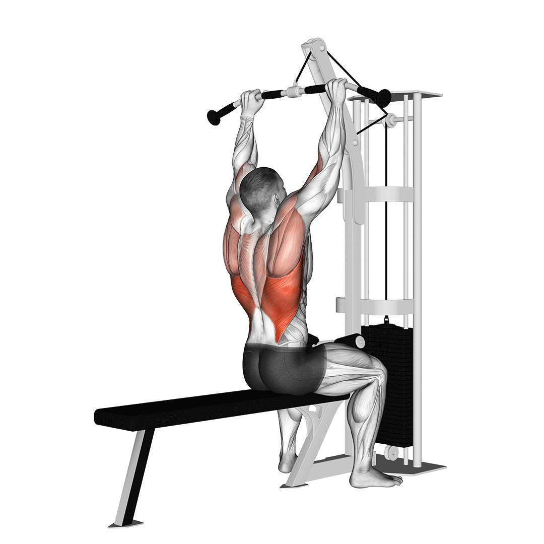 Cable Lat Pulldown demonstration