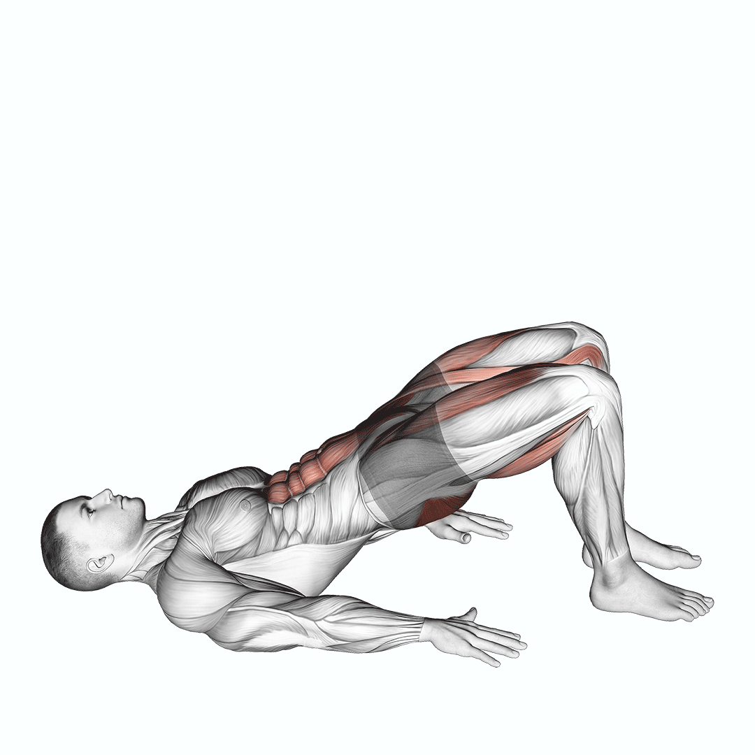 Glute Bridge March demonstration