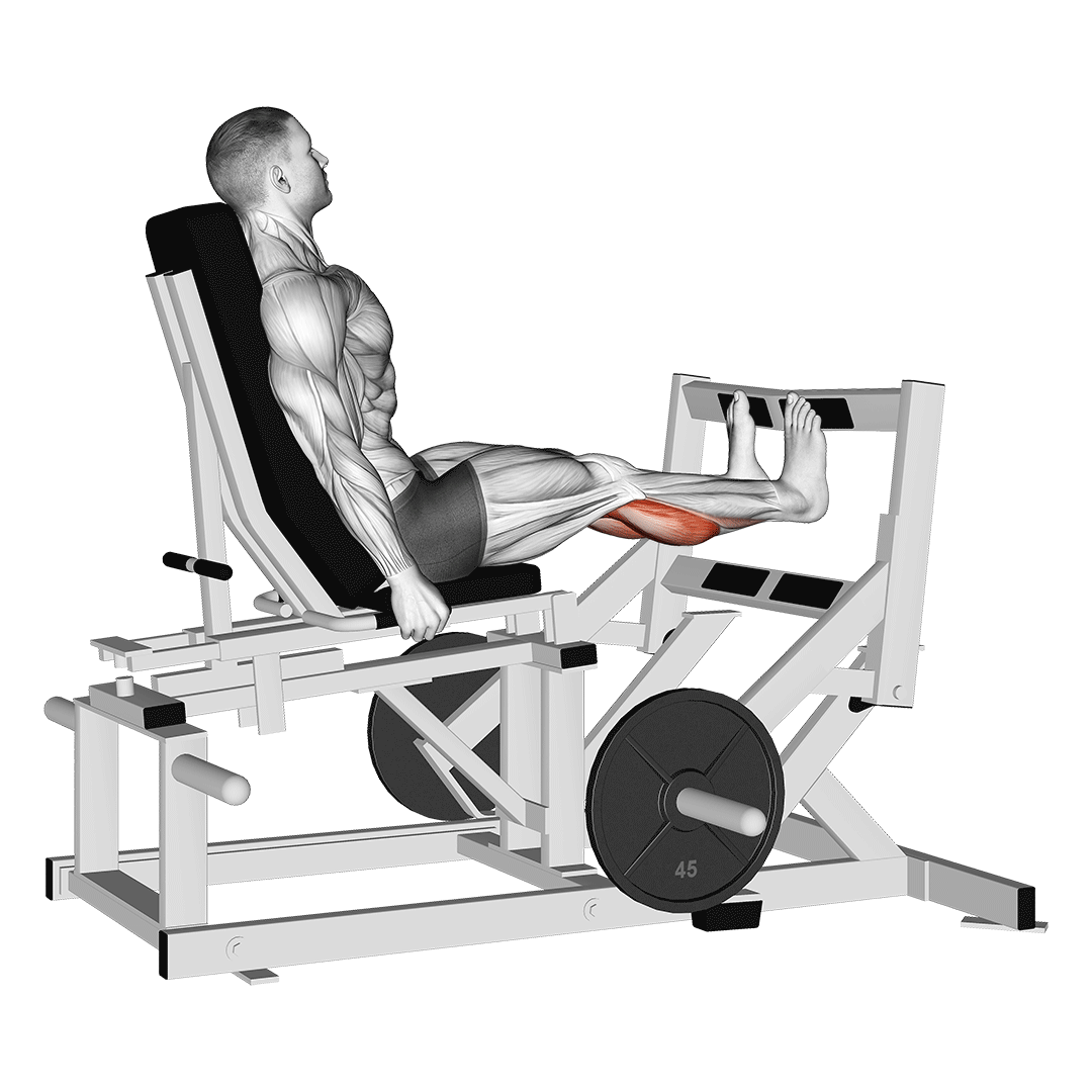 Machine Calf Press demonstration
