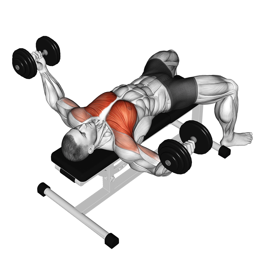 Dumbbell Fly demonstration