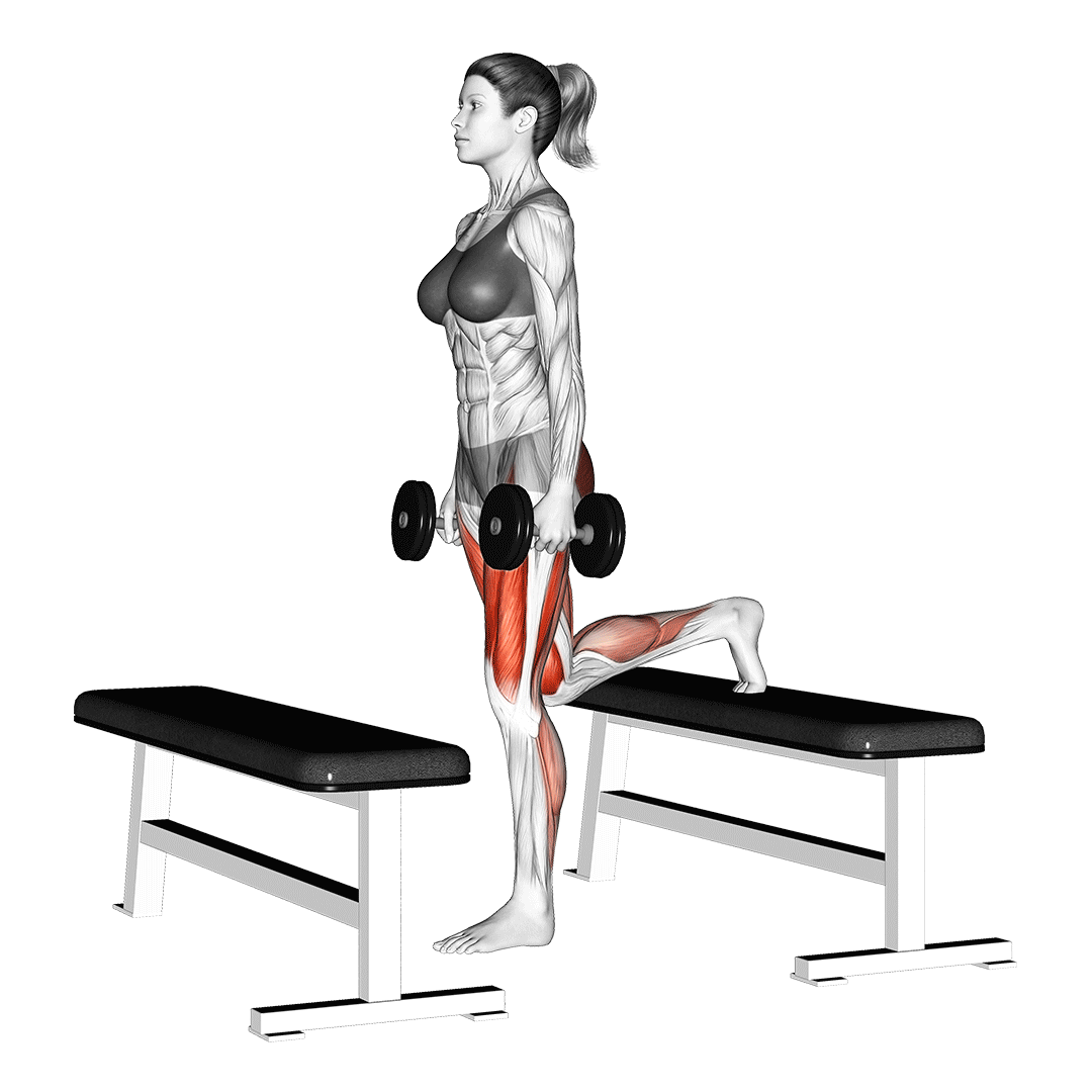 Dumbbell Step-Up Lunge demonstration