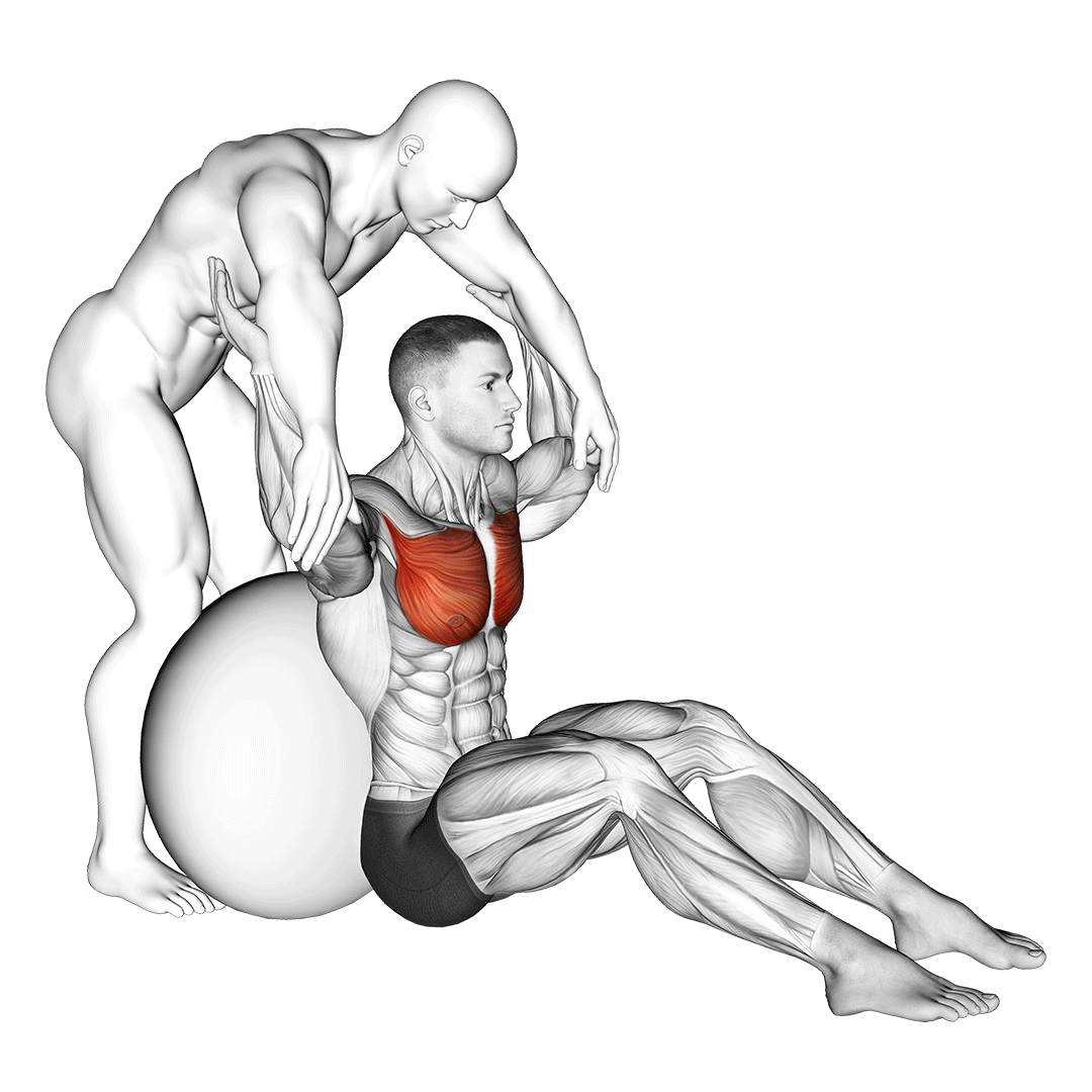 Assisted Seated Pectoralis Major Stretch With Stability Ball demonstration