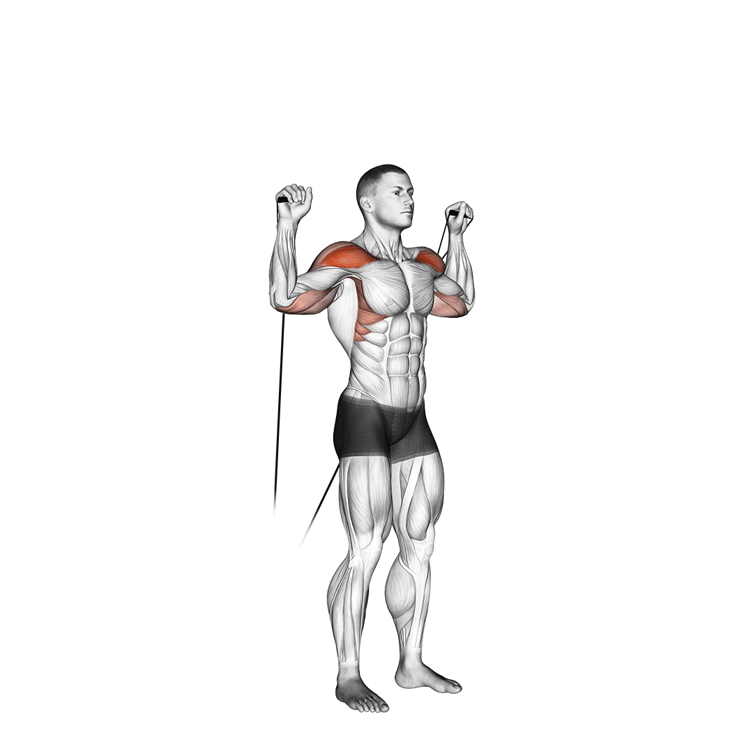 Cable Shoulder Press demonstration