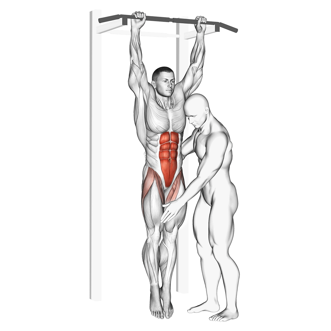 Assisted Hanging Knee Raise demonstration