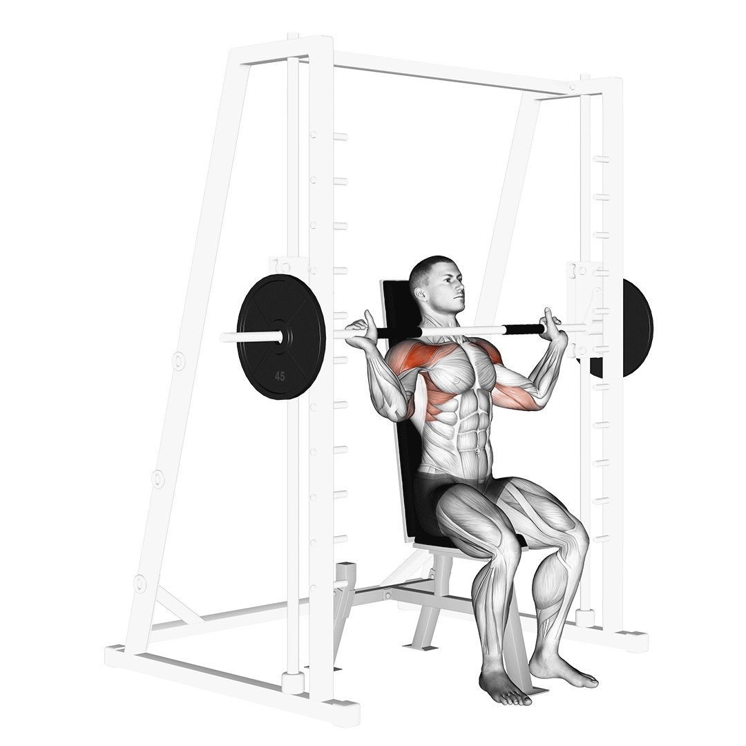 Smith Shoulder Press demonstration