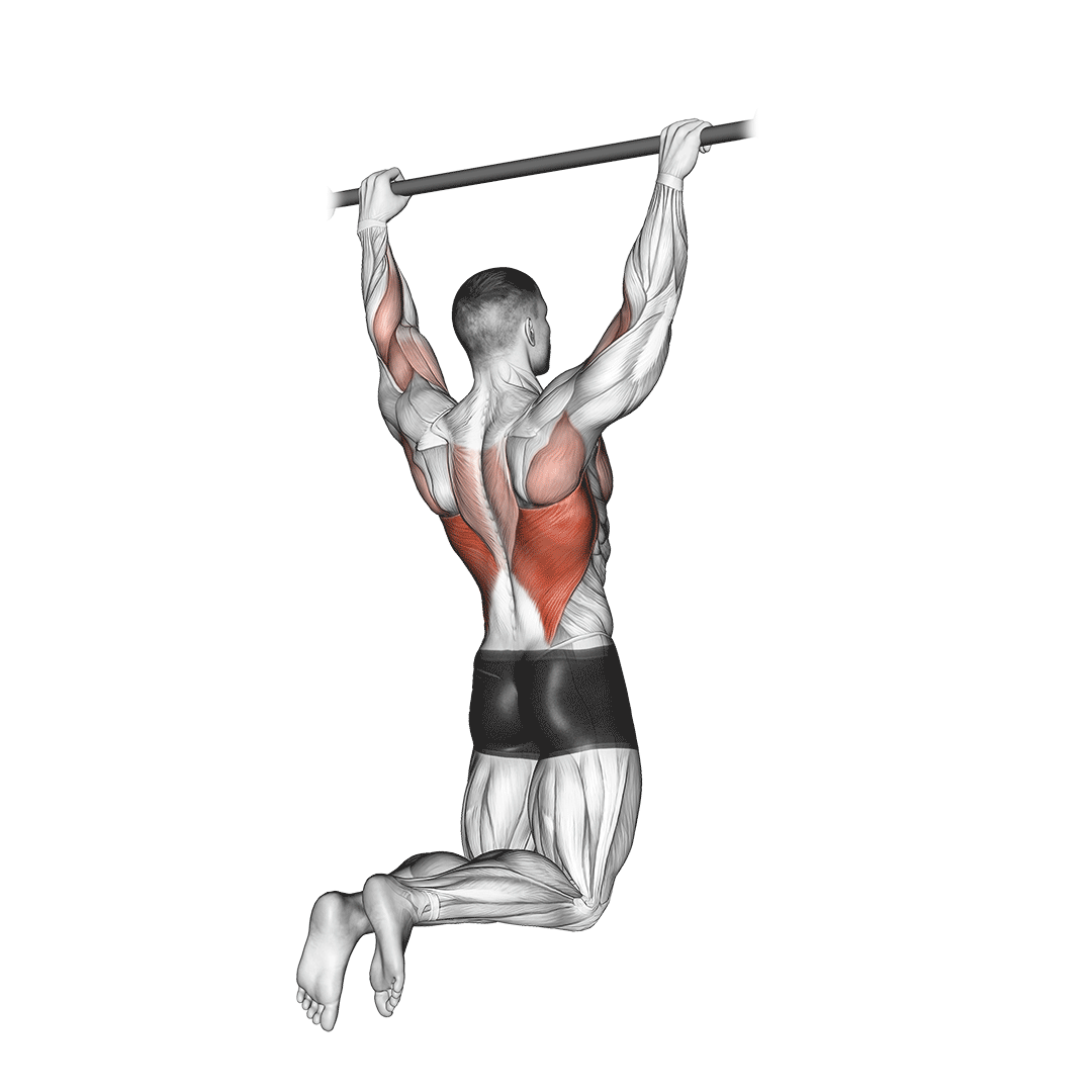Rear Pull-Up demonstration