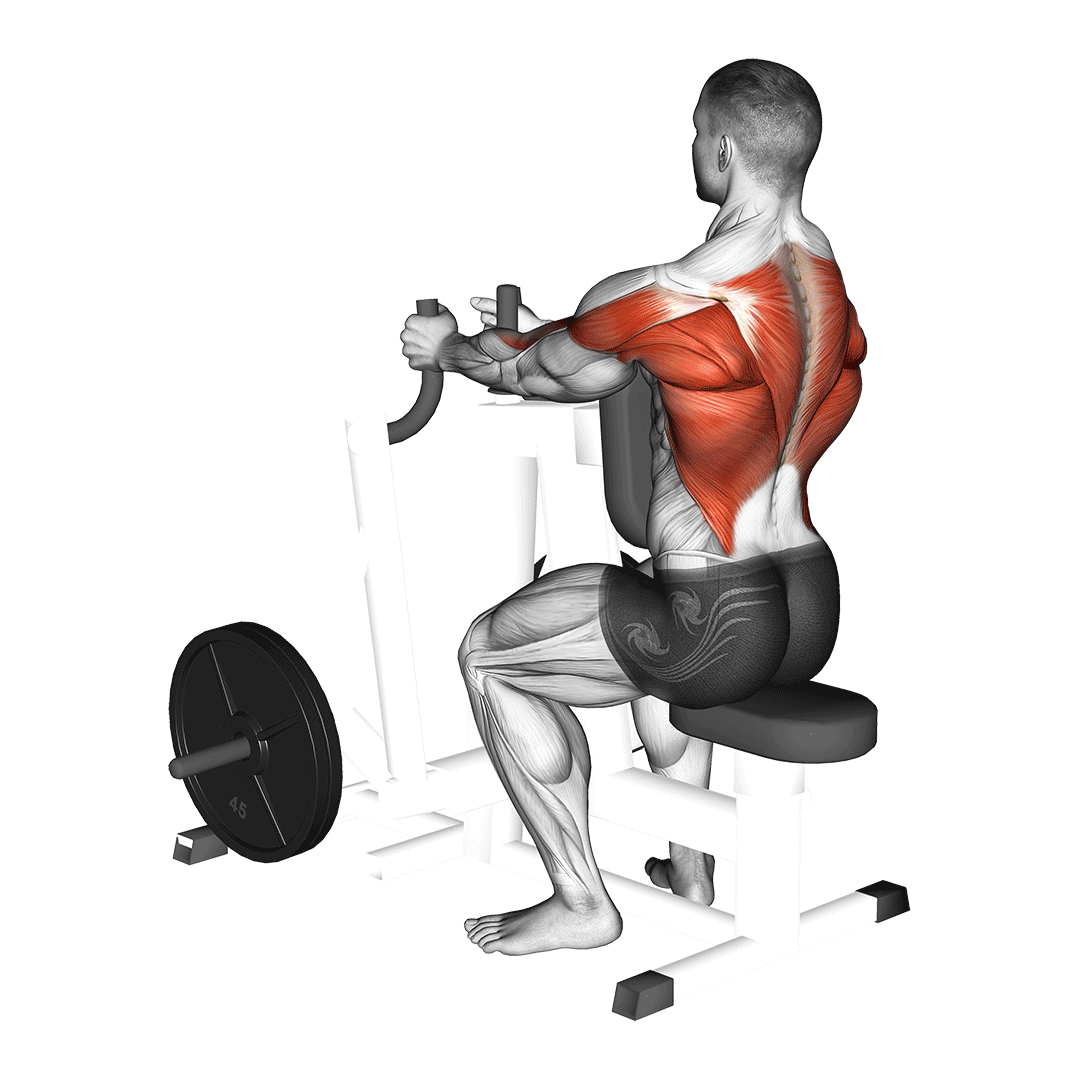 Machine Narrow Grip Seated Row demonstration