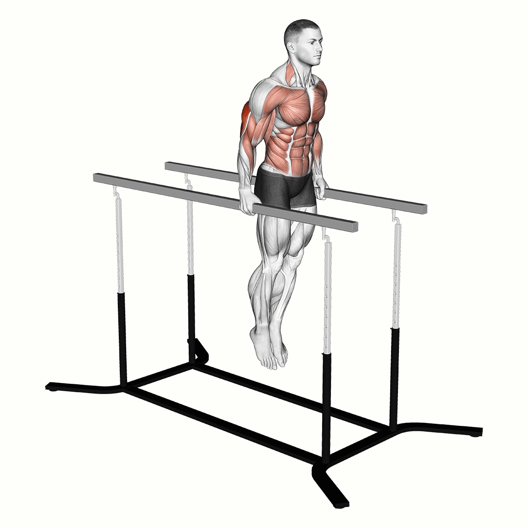 Elbow Dips demonstration