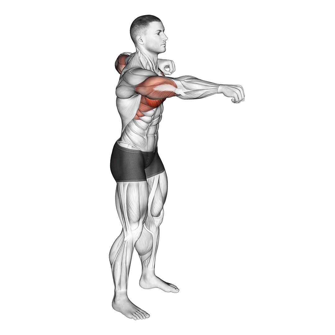 Push And Pull Bodyweight demonstration